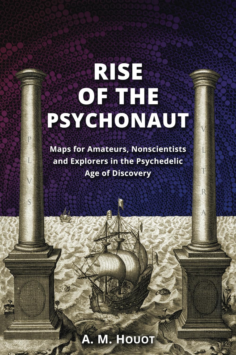 RISE OF THE PSYCHONAUT: Maps for Amateurs, Nonscientists and Explorers in the Psychedelic Age of Discovery