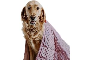 Weighted Blanket for Peace of Mind in Dogs