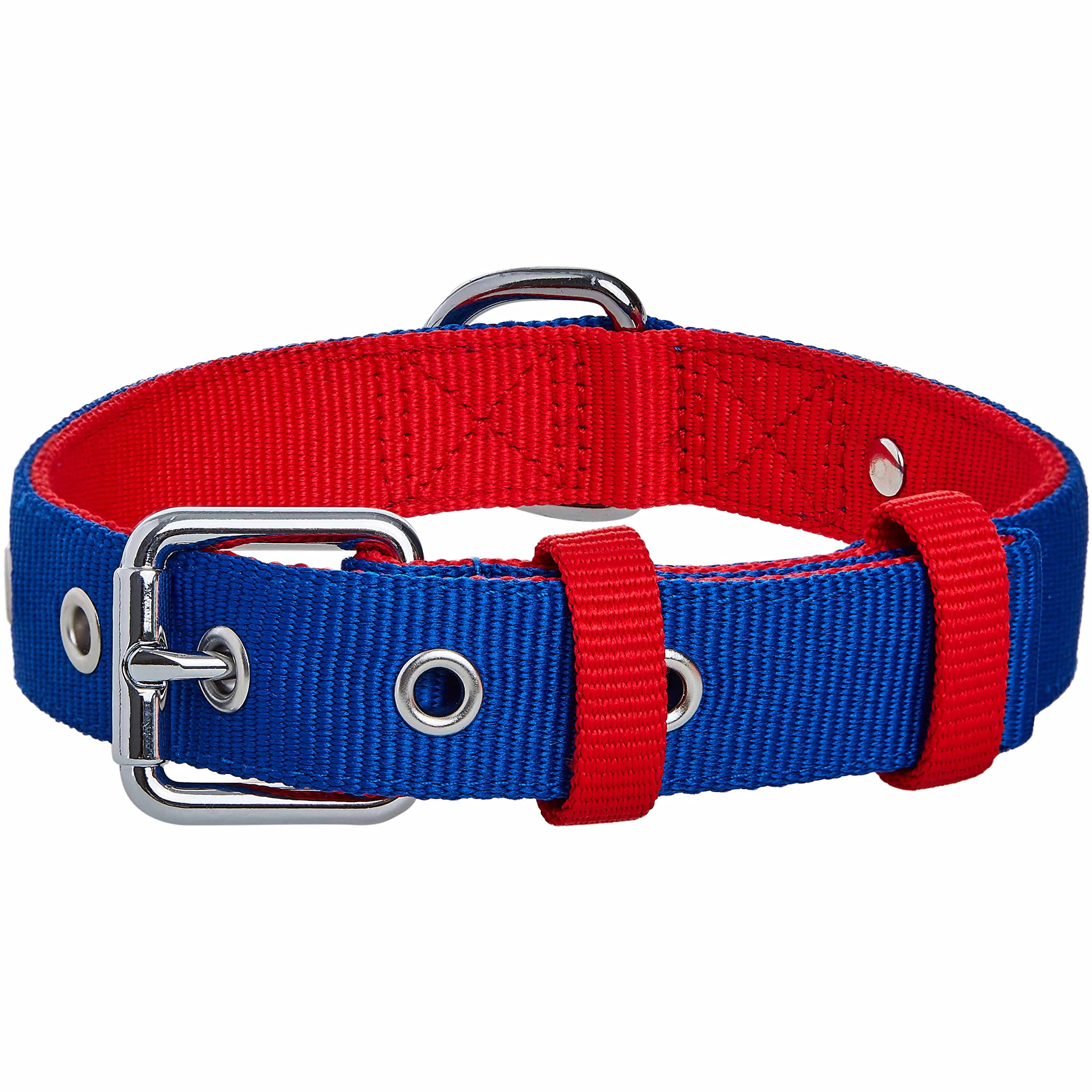 Collier réglable pour chien avec boucle en métal robuste et color-block