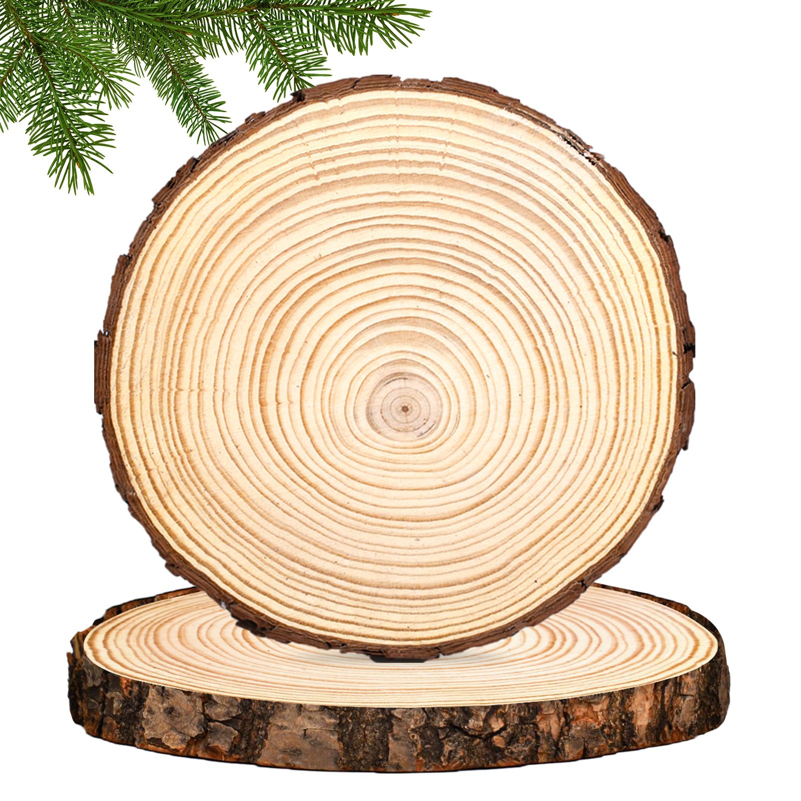 1000 pezzi di dischi di legno non trattati, dischi rotondi