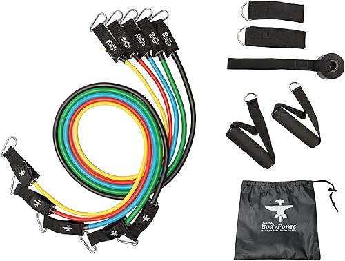 BodyForge Resistance Bands, Exercise Bands, Resistance Bands for Working Out, Work Out Bands with Handles for Men and Women Fitness, Strength