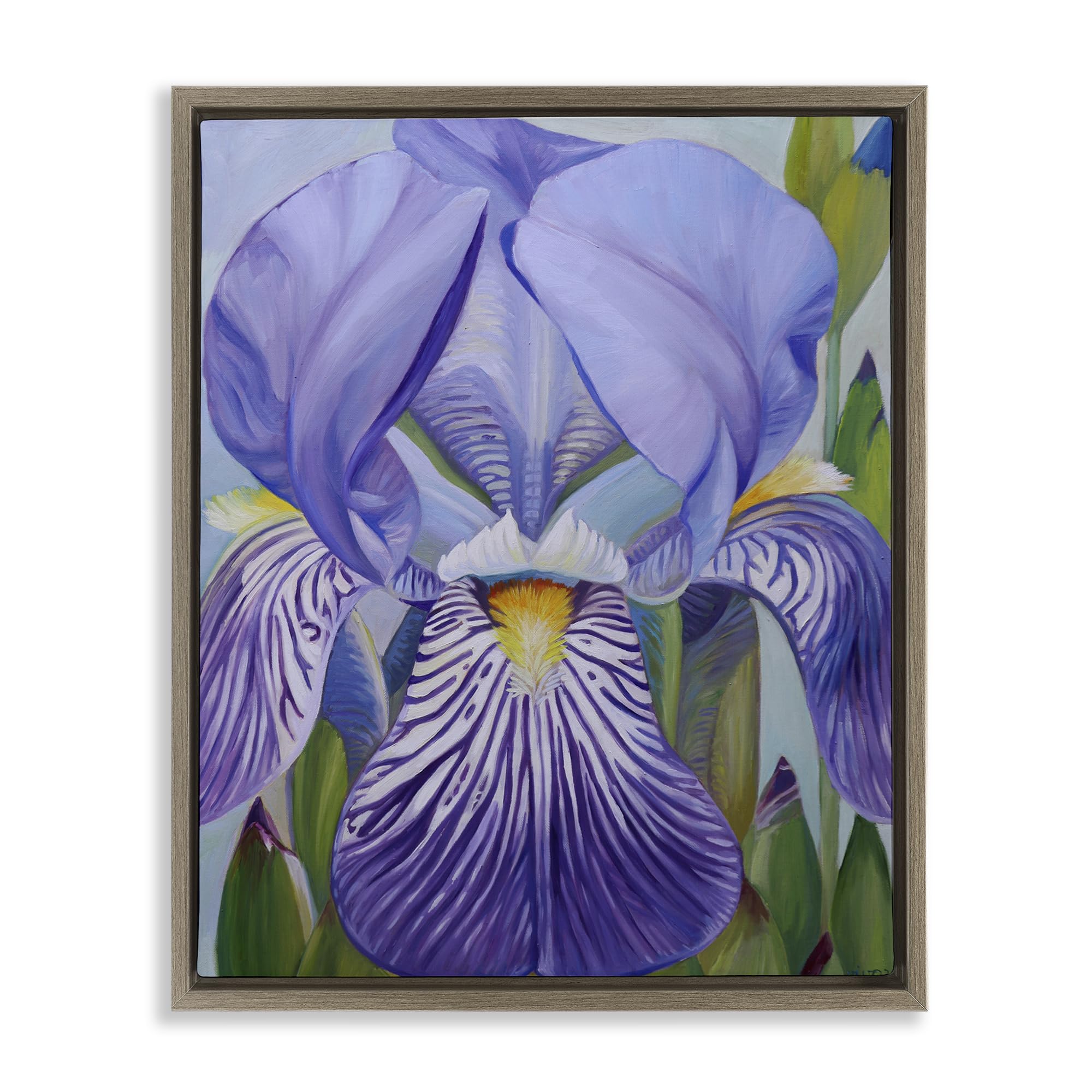 Stupell Industries Montalcino Elm (Textured) 'Blooming Purple Iris Petals', Floating Frame Canvas Art, Brown, 25 X 31 Inches, Easy To Hang And Sturdy, Made In Usa, By Violeta Vollmer
