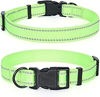 Mile High Life Reflective Dog Collar - Adjustable Quick-Release Nylon with D-Ring for Small Medium Large Dogs, Lime XS (9-13")