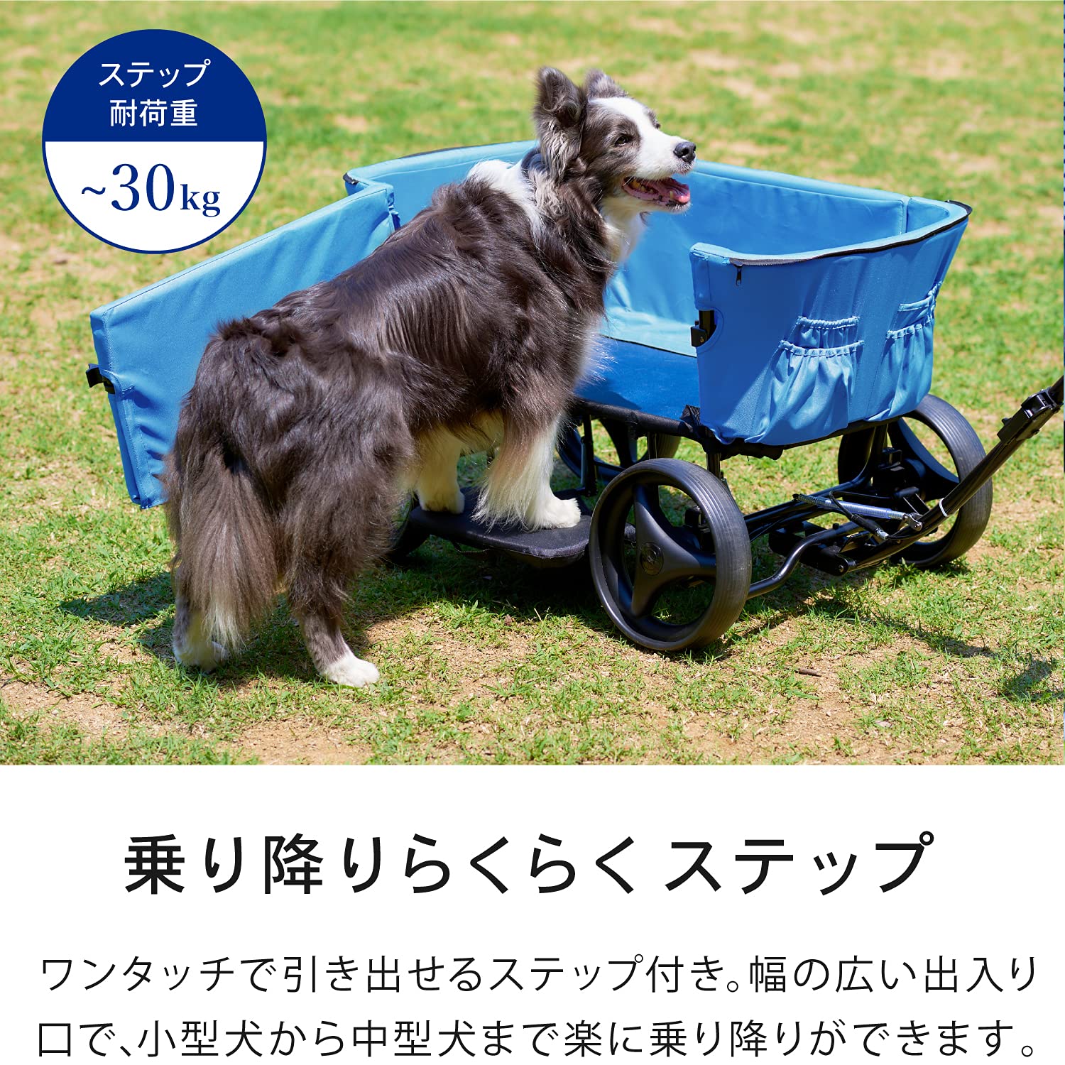 Amazon.co.jp: 【OFT】 ibiyaya アウトドアペットワゴン アクアブルー