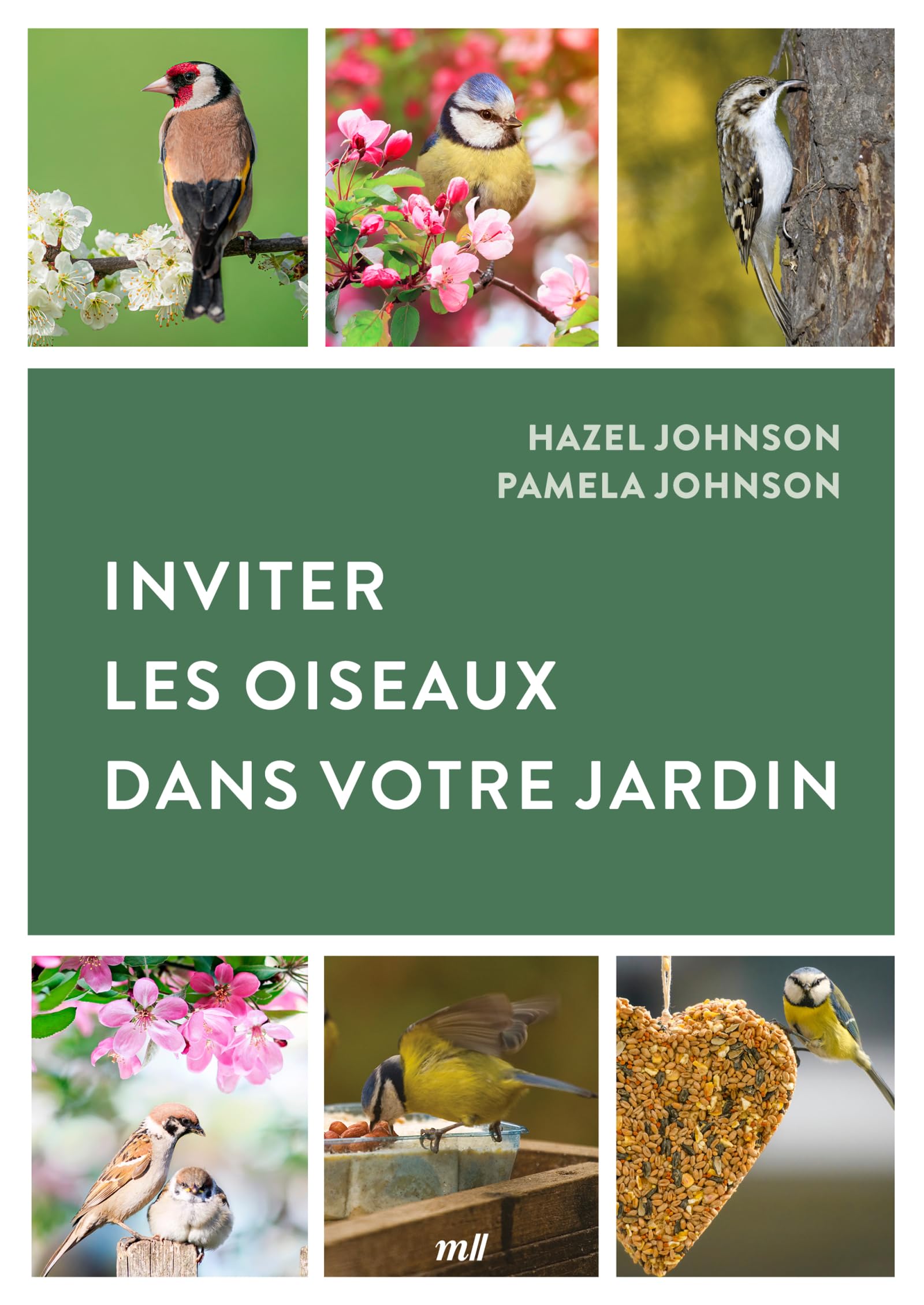 Inviter les oiseaux dans votre jardin
