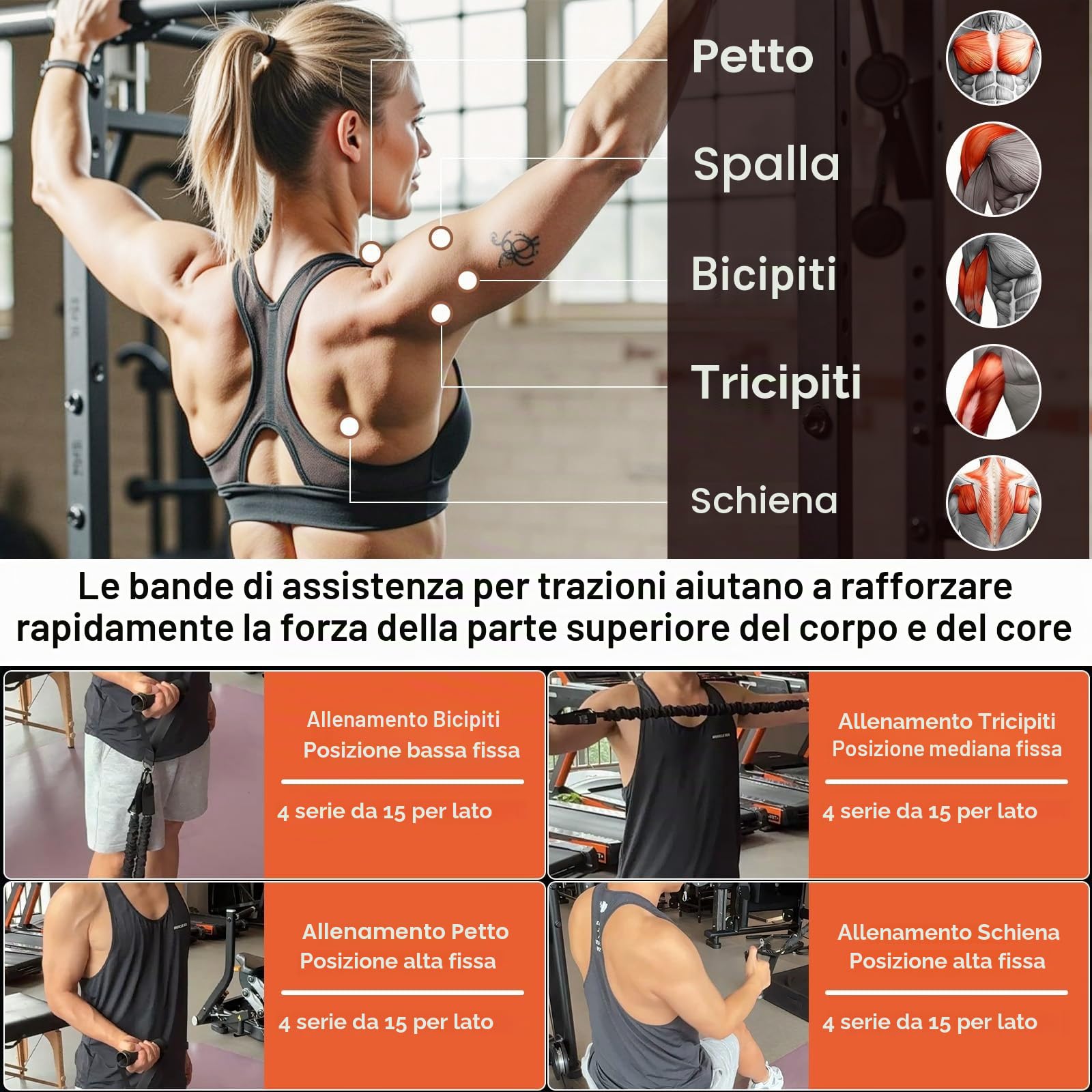 Fasce ausiliarie per trazioni, robuste fasce per trazioni con resistenza e altezza regolabili, con comodo poggiapiedi, 4 fasce per trazioni, fasce ausiliarie per trazioni