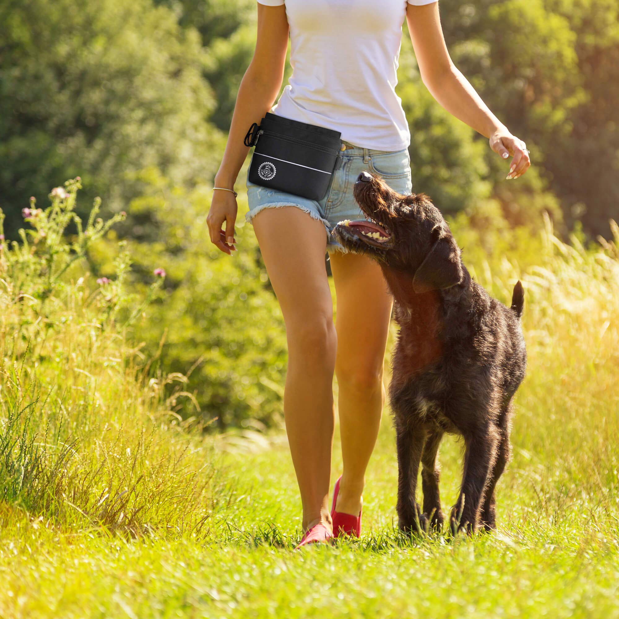 HUND IST KÖNIG Bolsa de premios para perros con bolsillo magnético para una mano, 2 bolsillos con cremallera, bolsillo interior extraíble, correas acolchadas para el hombro, mosquetón gratuito.