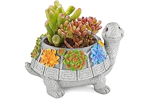 LESES Turtle Succulent Pot Planters for Indoor Plants: Beauty in Bloom