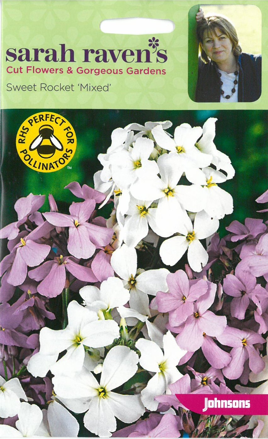 Johnsons Seed Sarah Raven's Cut Flowers -Sweet Rocket Mixed