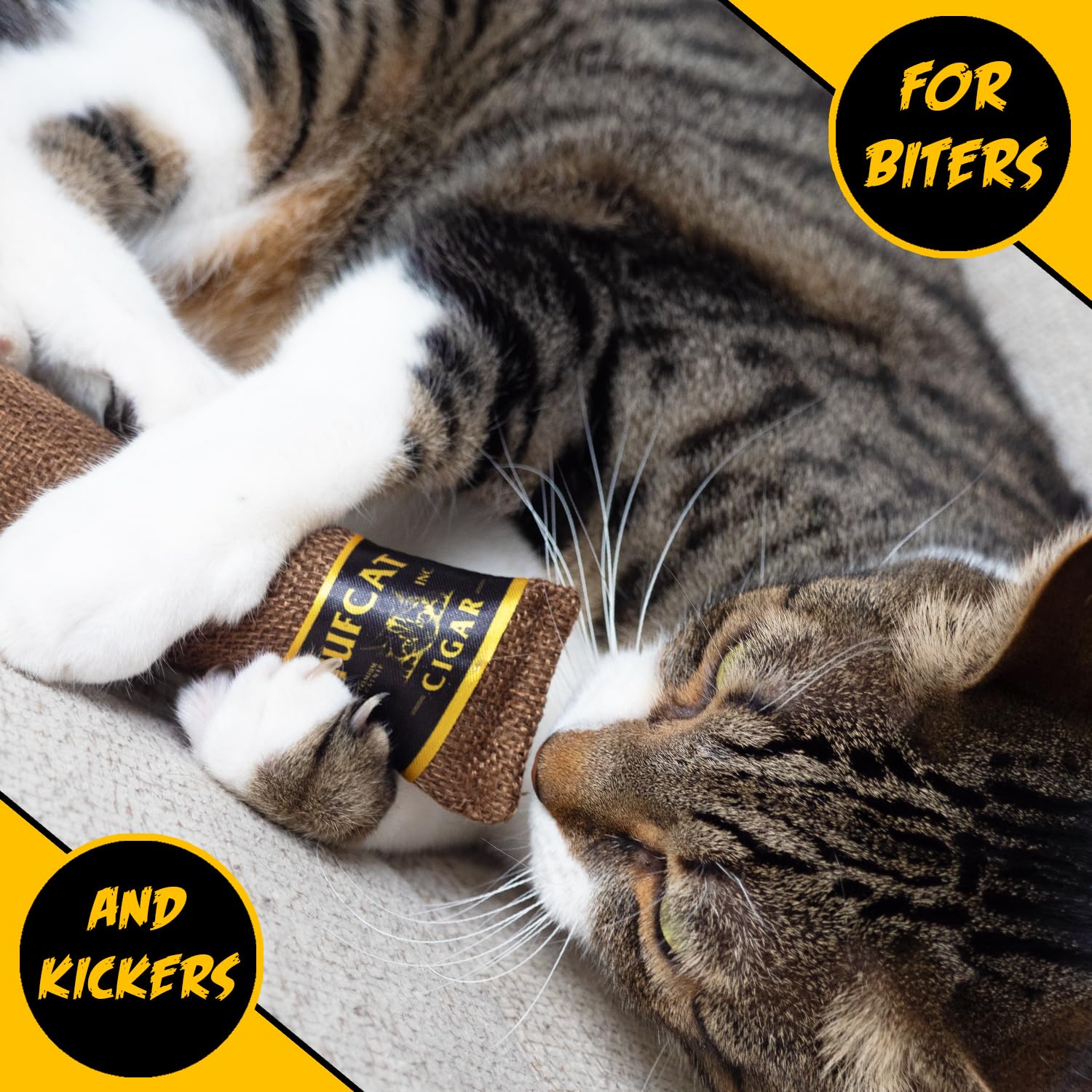 Amazon.com : TUFCAT Cat Toy Cigar, Catnip Toys for Cats of All Breeds, Cat  Toys for Indoor Cats, Kitten Toys, Action Themed Fun for Kicking, Biting,  Chewing (Brown, 1-Pack) : Pet Supplies