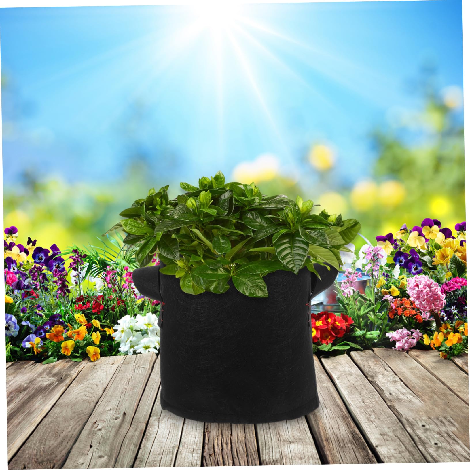 12 Pièces Lot Culture Tissu Non Tissé Épais avec Poignées Sacs de Jardinage Respirants pour Pommes de Terre Tomates Fleurs et Légumes Noirs