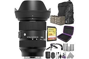 Sigma 24-70mm f/2.8 DG DN Art Lens for Sony E-Mount
