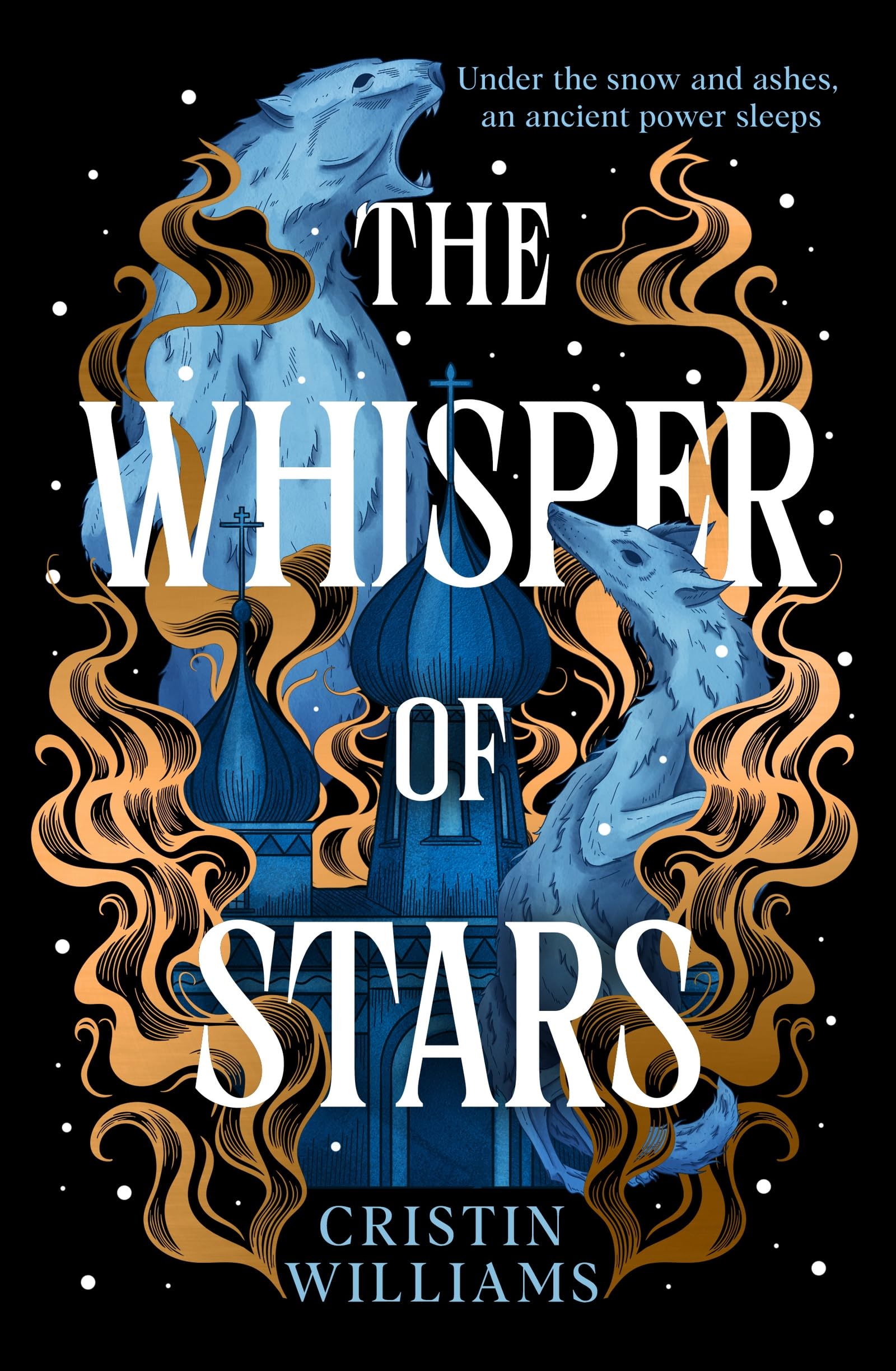 The Whisper of Stars by Cristin Williams Hardback