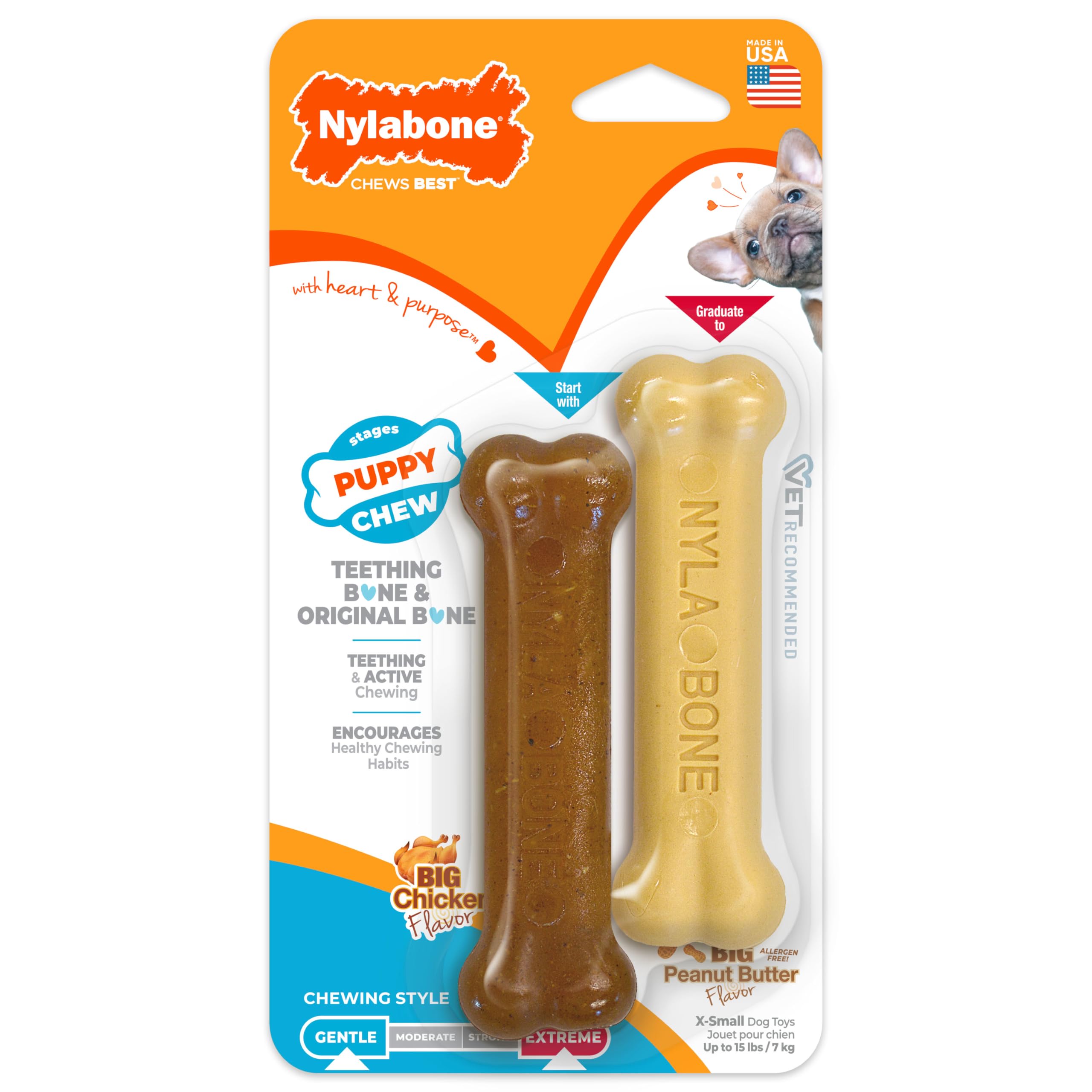 Nylabone Puppy Chew Teething Bone &amp; Original Bone Dog Chew Toys, 2 Count