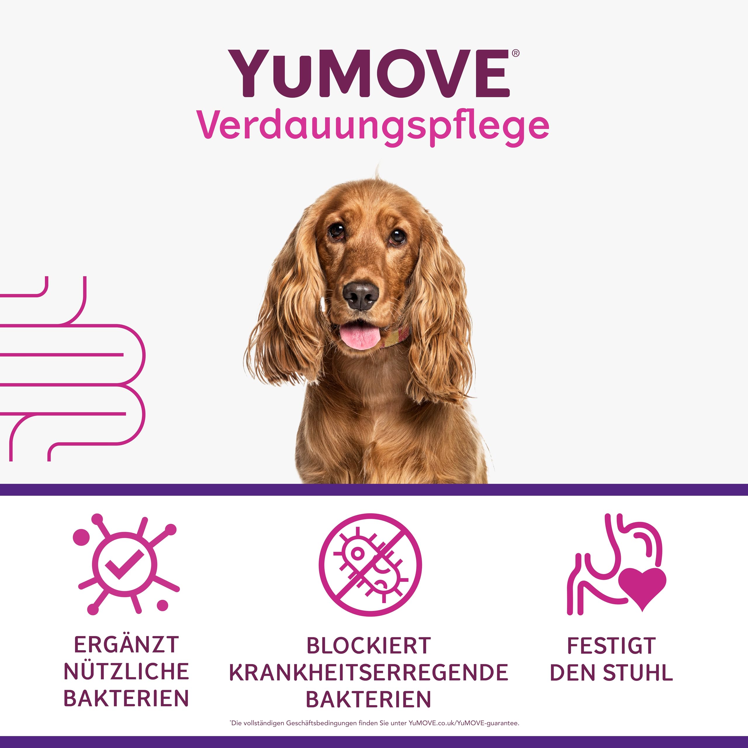YuMOVE Probiotika Hund Tabletten - 120 Stück - Mit 200 Mio Guten Bakterien Enterococcus faecium & ActivBio Prebiotika MOS scFOS Beta-Glucane - Hund Darmflora Aufbauen & Natürliche Verdauungsbalance