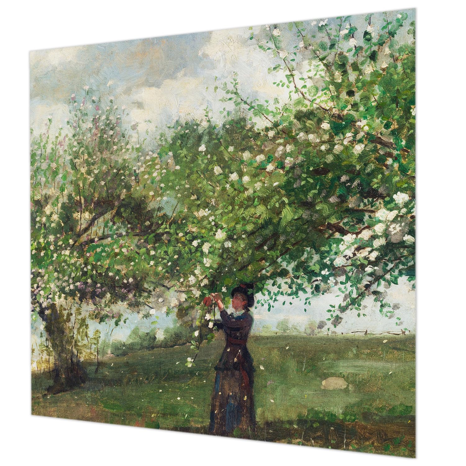 Papier peint intissé chambre décoration murale salon motif printemps colle incluse