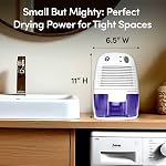 Momentum SM EDV1100 Eva-Dry Mini Dehumidifier