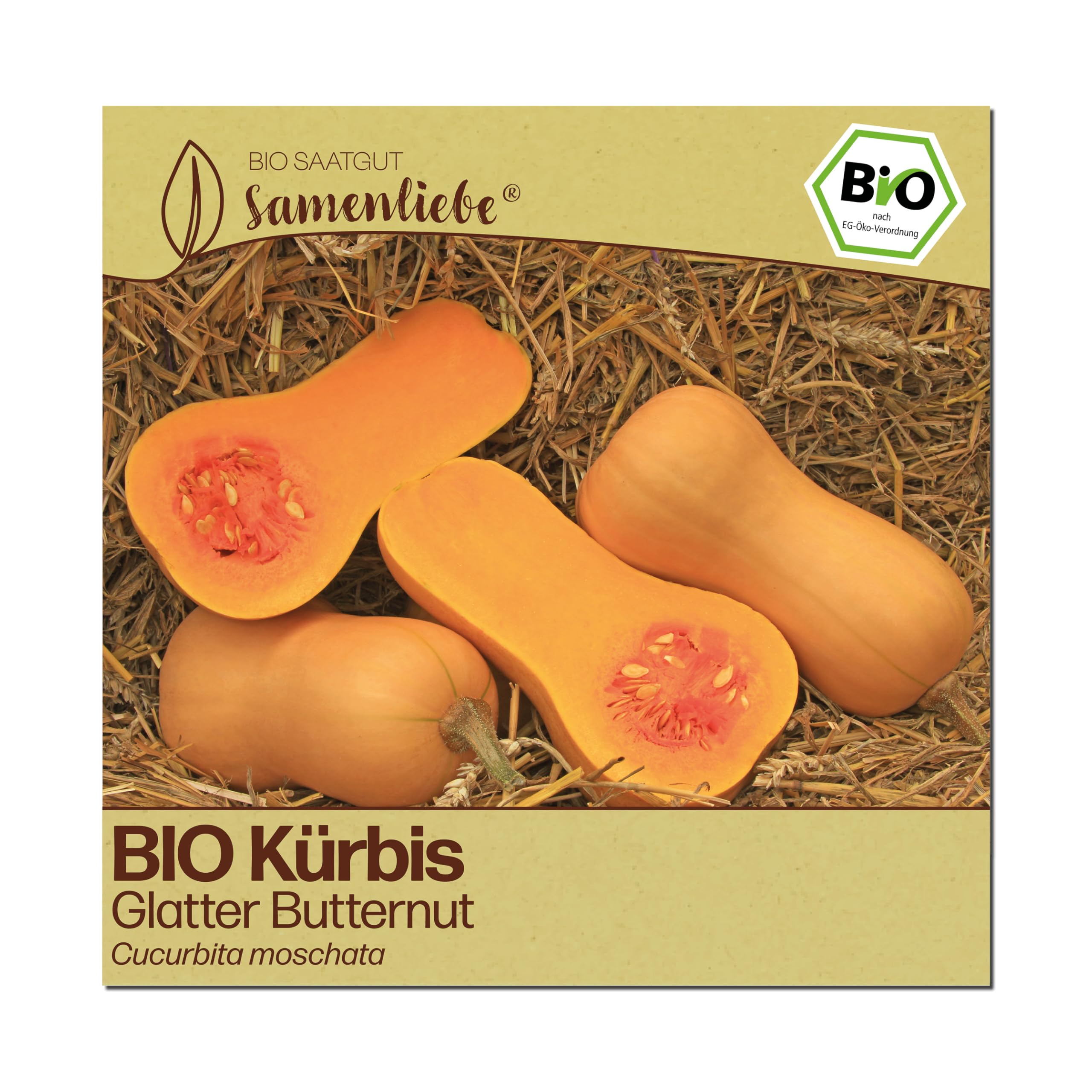 Samenliebe BIO Kürbis Samen | Butternut Kürbis - glatt & nussig - samenfestes BIO Saatgut