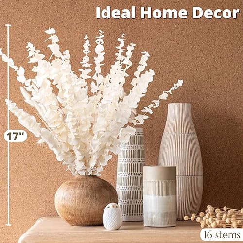 Miniatura 2 de Paquete de 16 piezas de tallo de eucalipto seco blanqueado, 100% ramas de eucalipto naturales color blanco crema conservadas, hojas de eucalipto