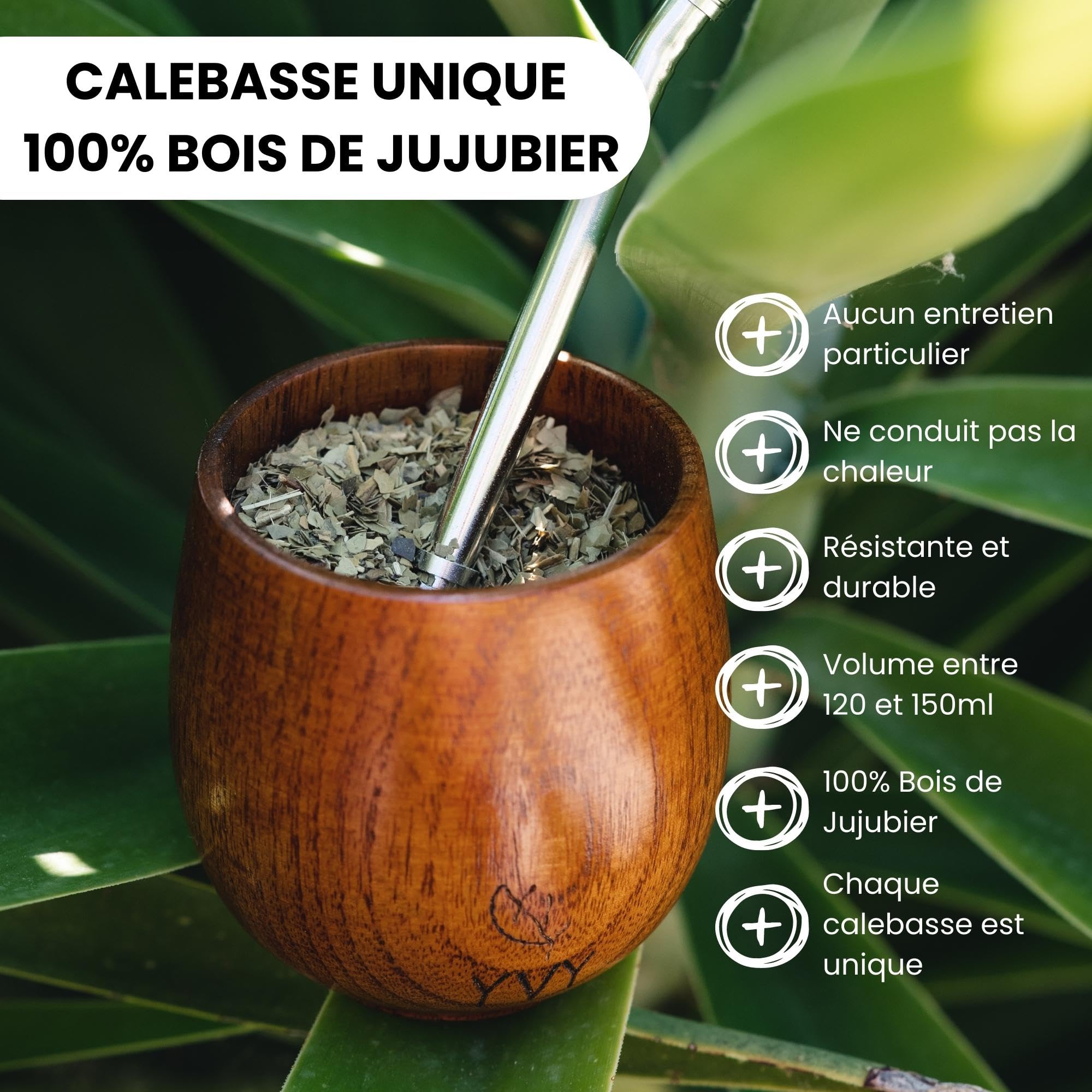YVY MATÉ Komplettes Set | Kalebasse aus Holz, Bombilla und Dose aus Eisen, matt, grün, Bio Grand Cru 100 g | Box für Anfänger oder Geschenk | originelles Geschenk