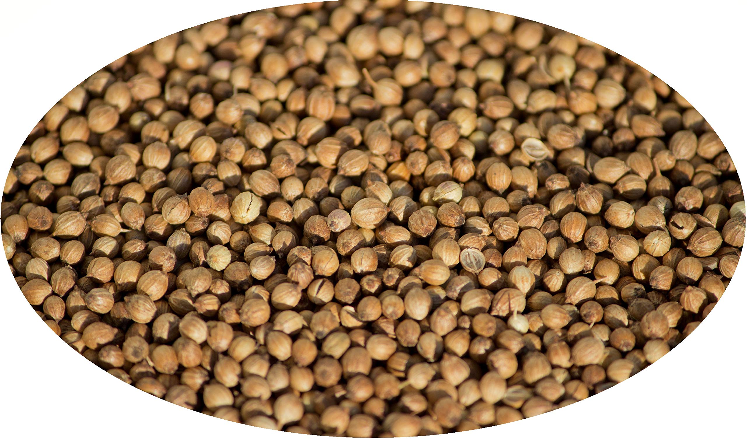 Eder Gewürze - Coriandro en grano - 5kg