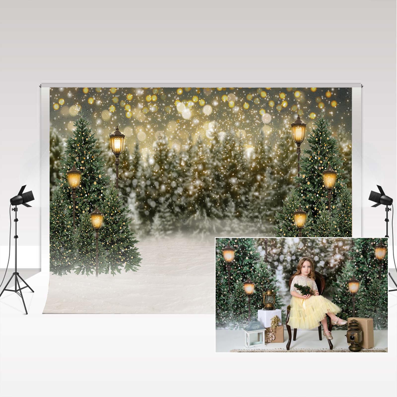 Kate Hiver Fond Photographie 3x2m Doux et Chaleureux Studio Photo Photos Fond Magazine Portrait Photographie Accessoires Mariage décoration Fond décoration Murale vidéo