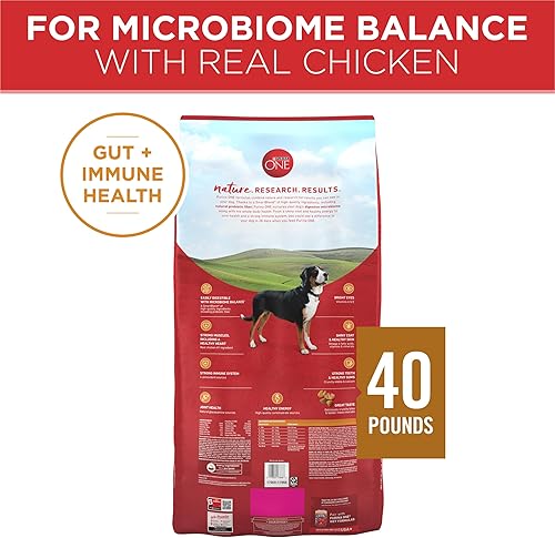 Miniatura 5 de Purina ONE SmartBlend Alimento seco para perros de pollo y arroz natural para adultos