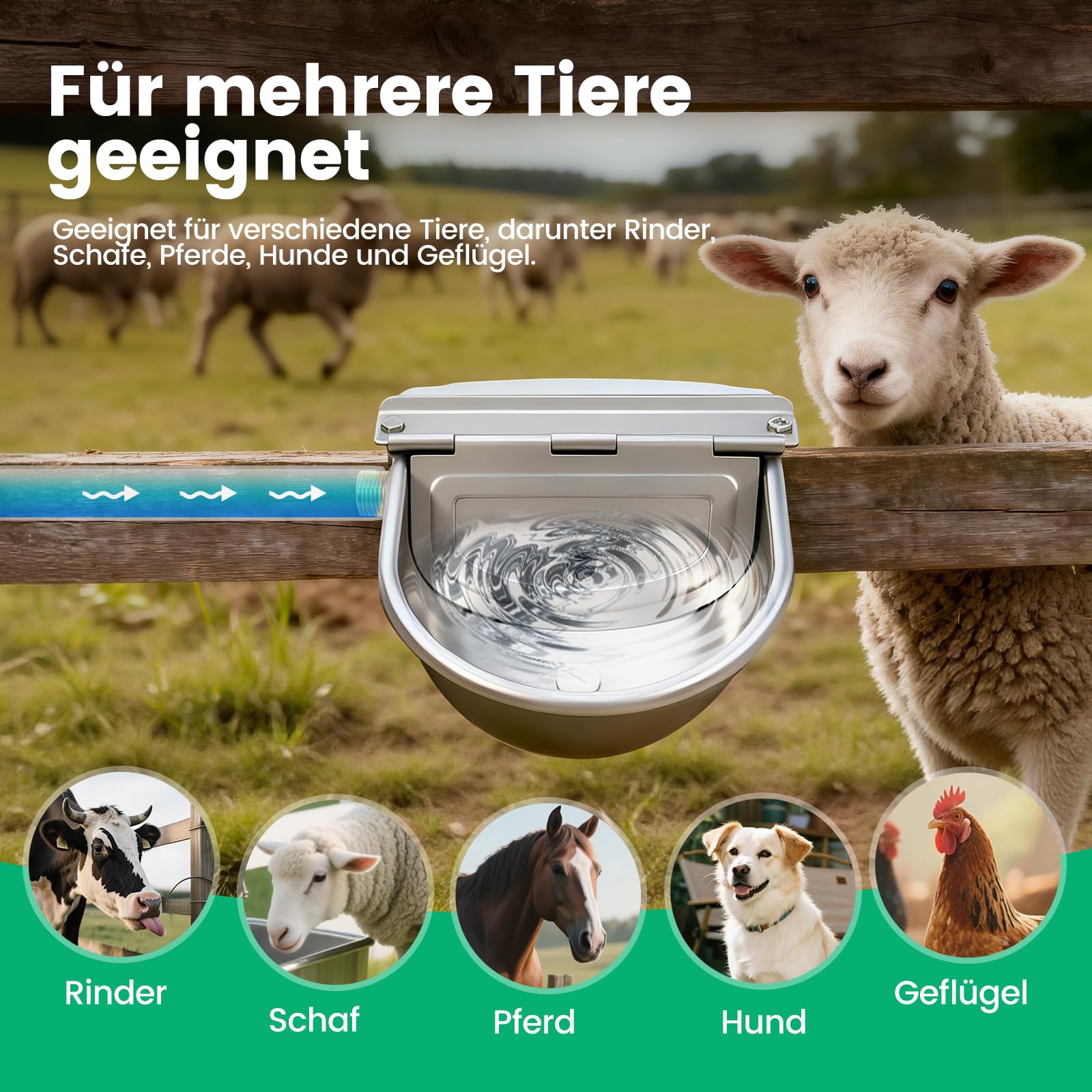 SchwimmerträNke,Pferde Und RinderträNke，Traenkebecken Mit Schwimmer,TräNke Schafes,Edelstahl TräNkebecken,TräNke Schafe,ViehträNke,Pferdetraenke FüR Rinder,Pferde,Schafe,Ziegen,Hunde,HüHner