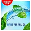 Colgate Plax Mint Refreshment Anti-Plaque Oral Care Water 500 ml