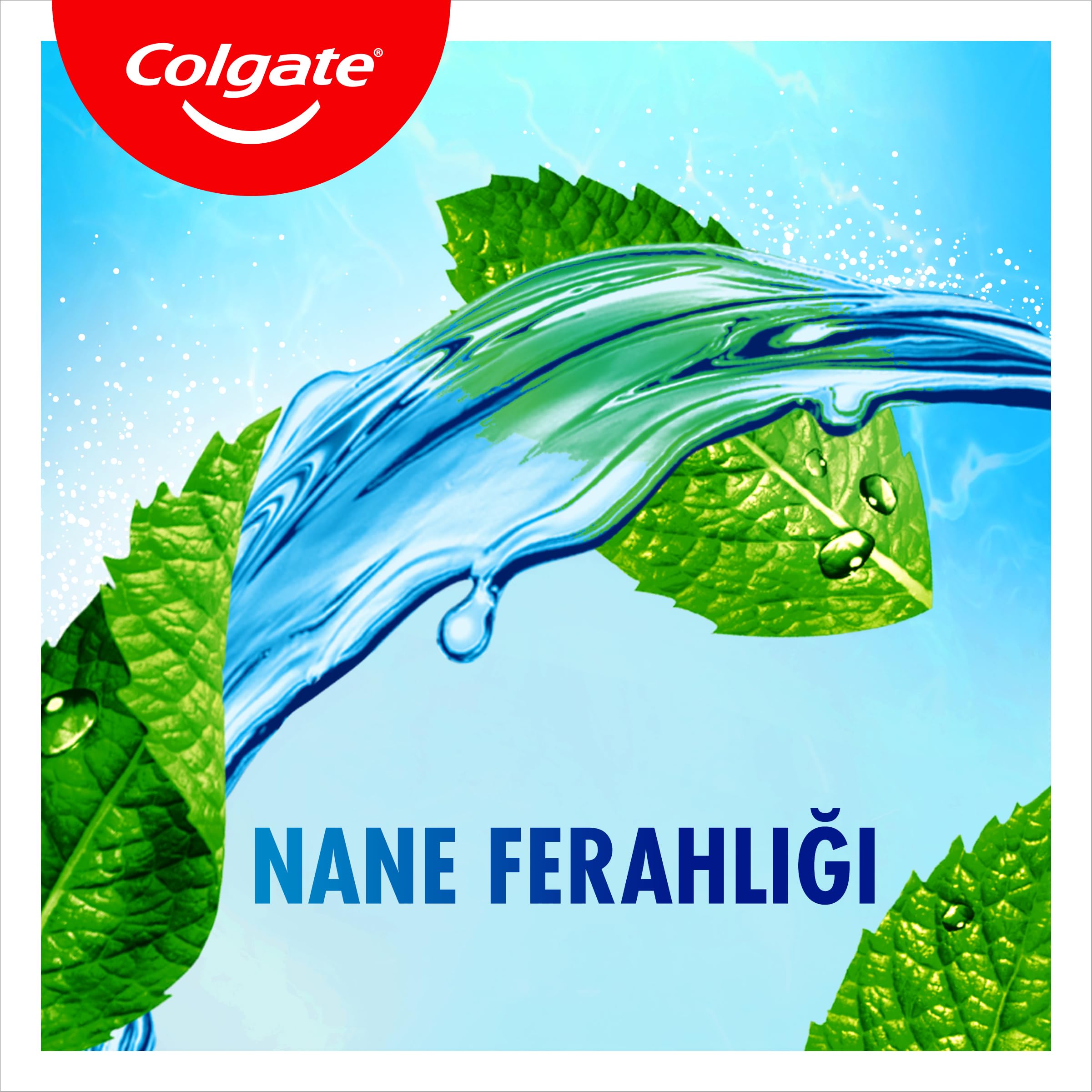 Colgate Plax Nane Ferahlığı Plağa Karşı Ağız Bakım Suyu 500 ml