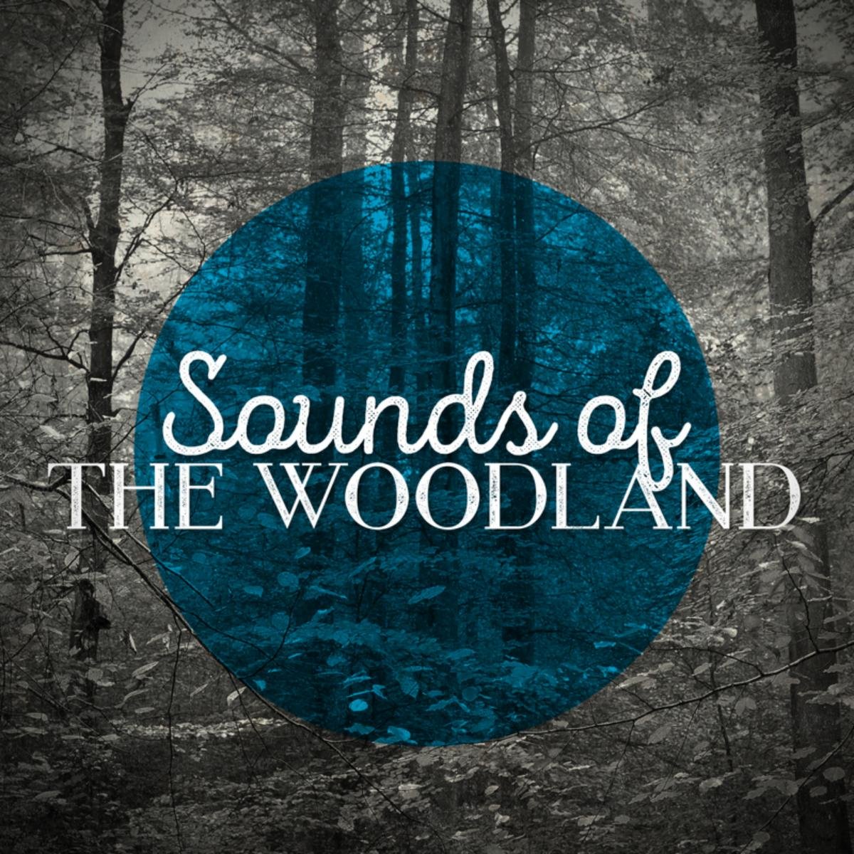 Sounds of the Woodland