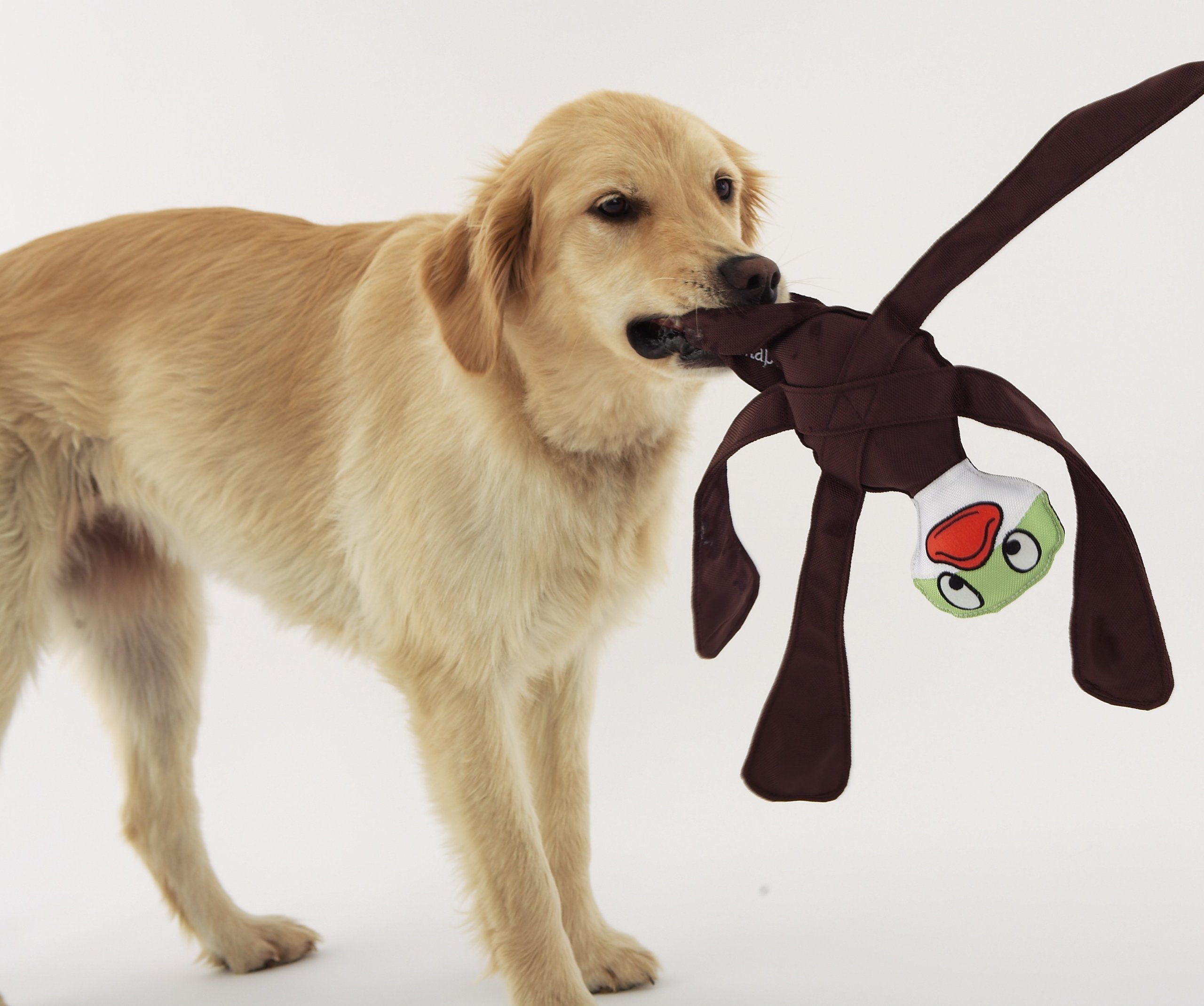Amazon | DOGGLES Pentapulls アヒル | doggles | 噛むおもちゃ 通販
