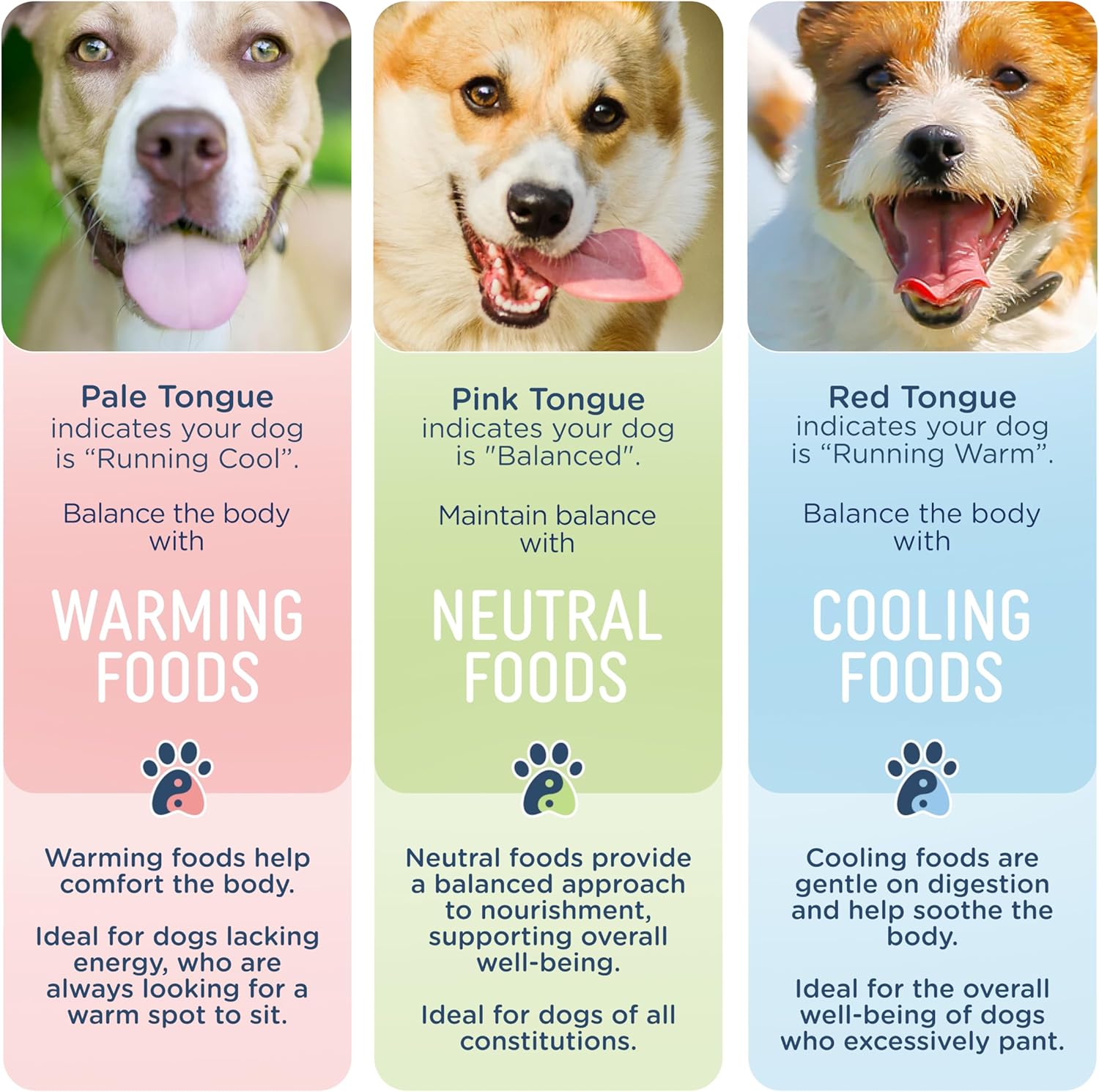 Side by Side Chicken Munchies - Warming Freeze-Dried Dog Treats - Ideal Dog Training Treats, Snack or Reward - Made of Whole Raw Ingredients, Free of Artificial Additives - USA Made (4oz., Pack of 2)