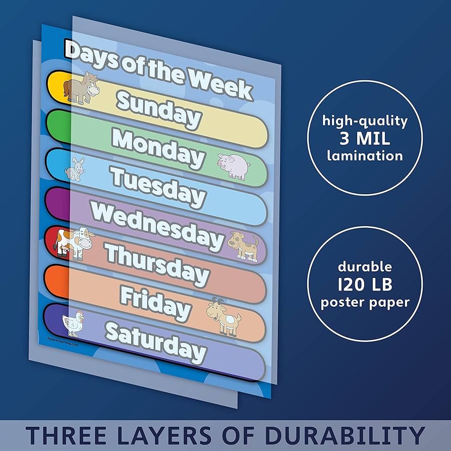 Amazon.co.jp: Day of The Week ポスターチャート - ラミネート