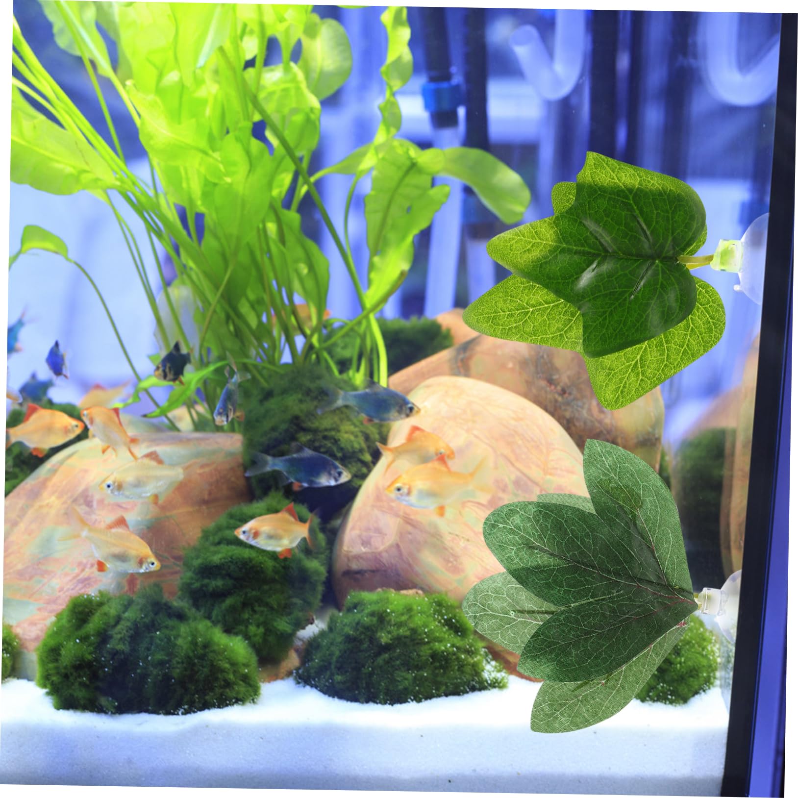 TOYANDONA 4 set Foglie Di Piante Artificiali Piante Acquatiche Per Acquario Acquatiche Realistiche Finte In Miniatura Piccole Per Acquario 4 pezzi*4