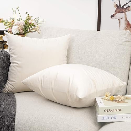 Miniatura 3 de YOUR SMILE Paquete de 2 fundas de almohada de terciopelo de color puro, fundas de almohada cuadradas decorativas suaves y sólidas para sofá,