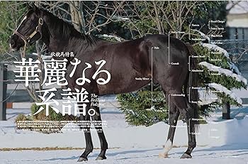 Amazon.co.jp: Sports Graphic Number「秋競馬特集 華麗なる系譜