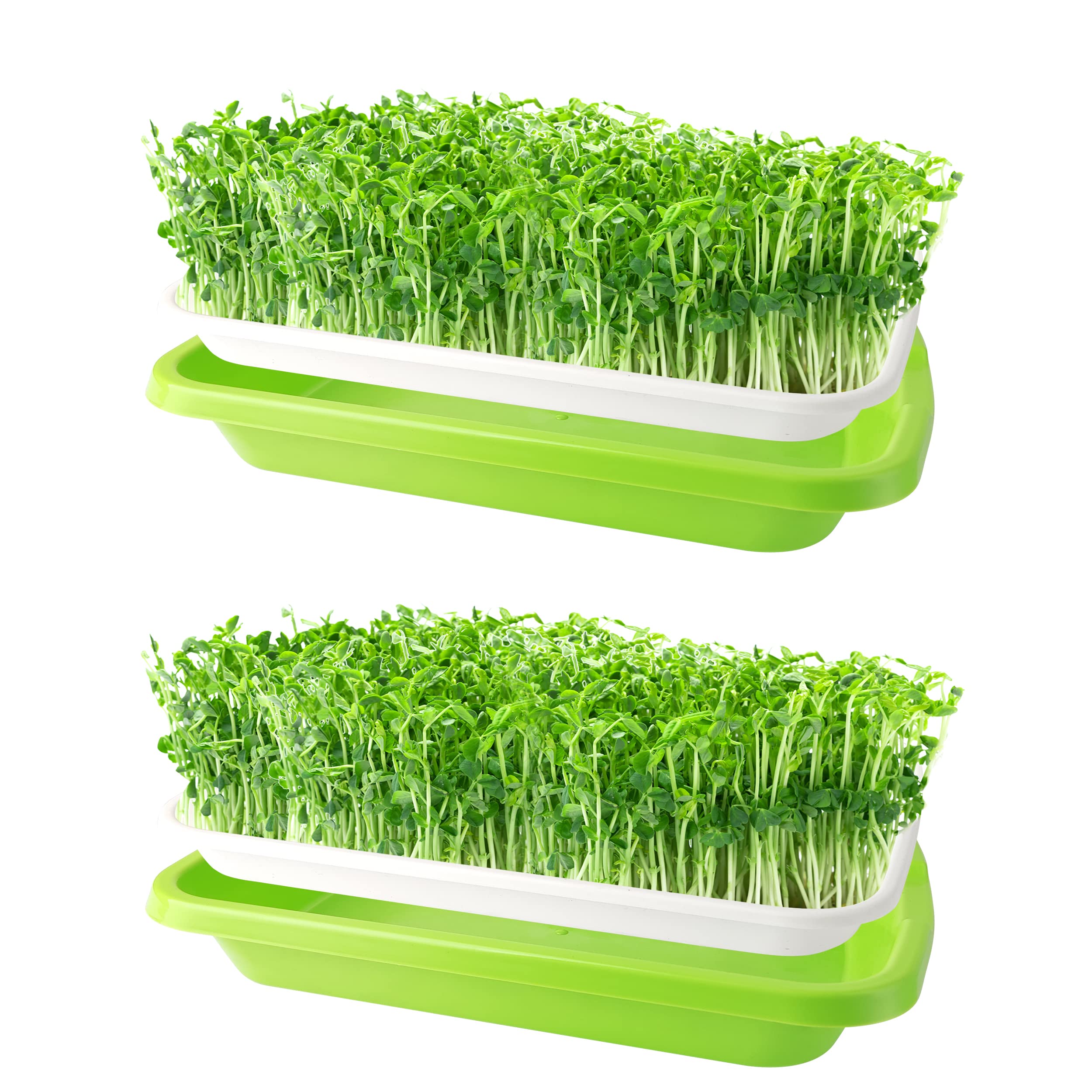 nuyikaso 2 Pack Seed Sprouter Trays Seedling Germination 33.5cm x 25cm Large Capacity BPA Free for Mung Beans Alfalfa Wheat Grass Garden Indoor Outdoor