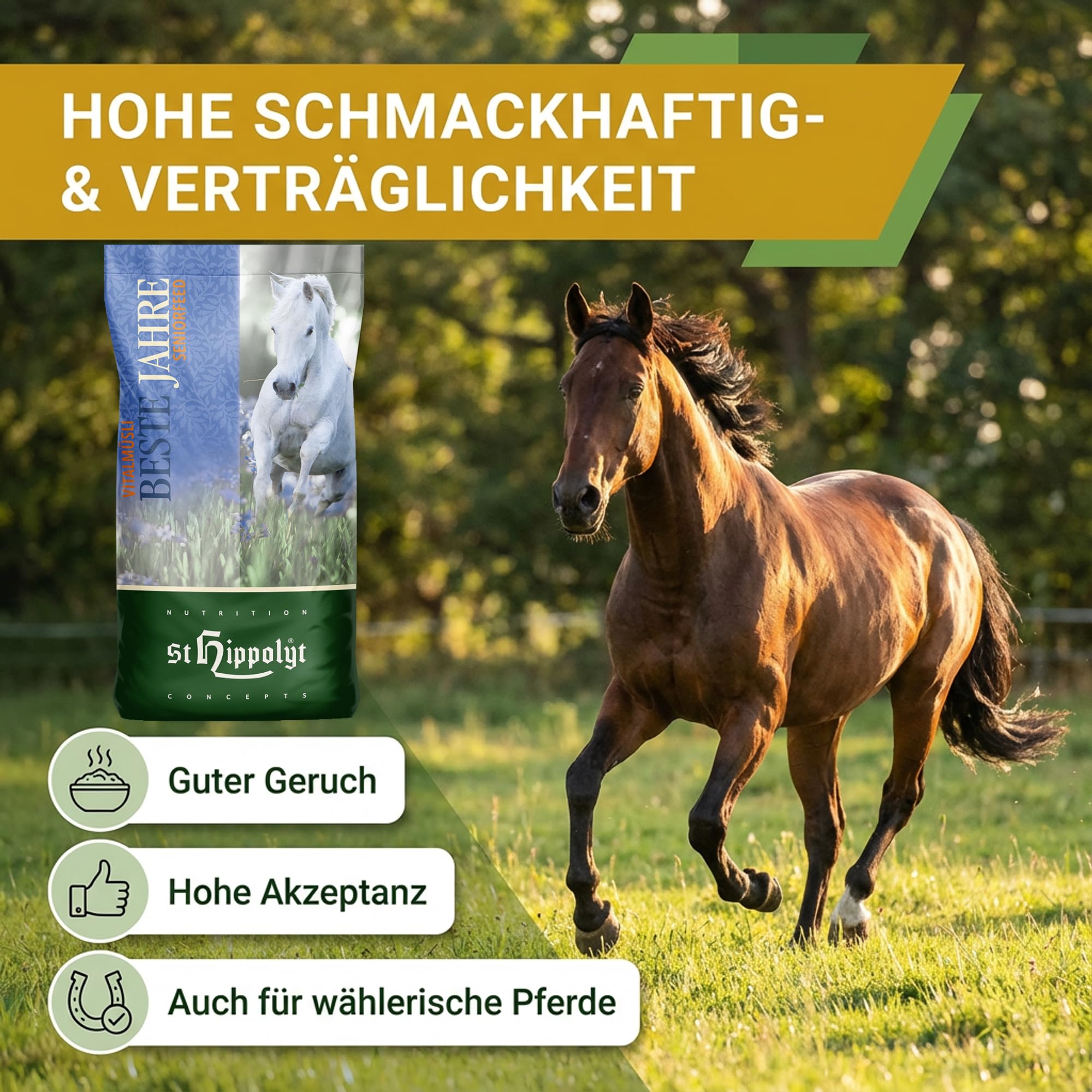 St. Hippolyt Vitalmüsli Beste Jahre 20 kg - Reichhaltige Nähr- und Aufbaukost + 2 x 1 kg Belohnungs-Lobs in Würfelform