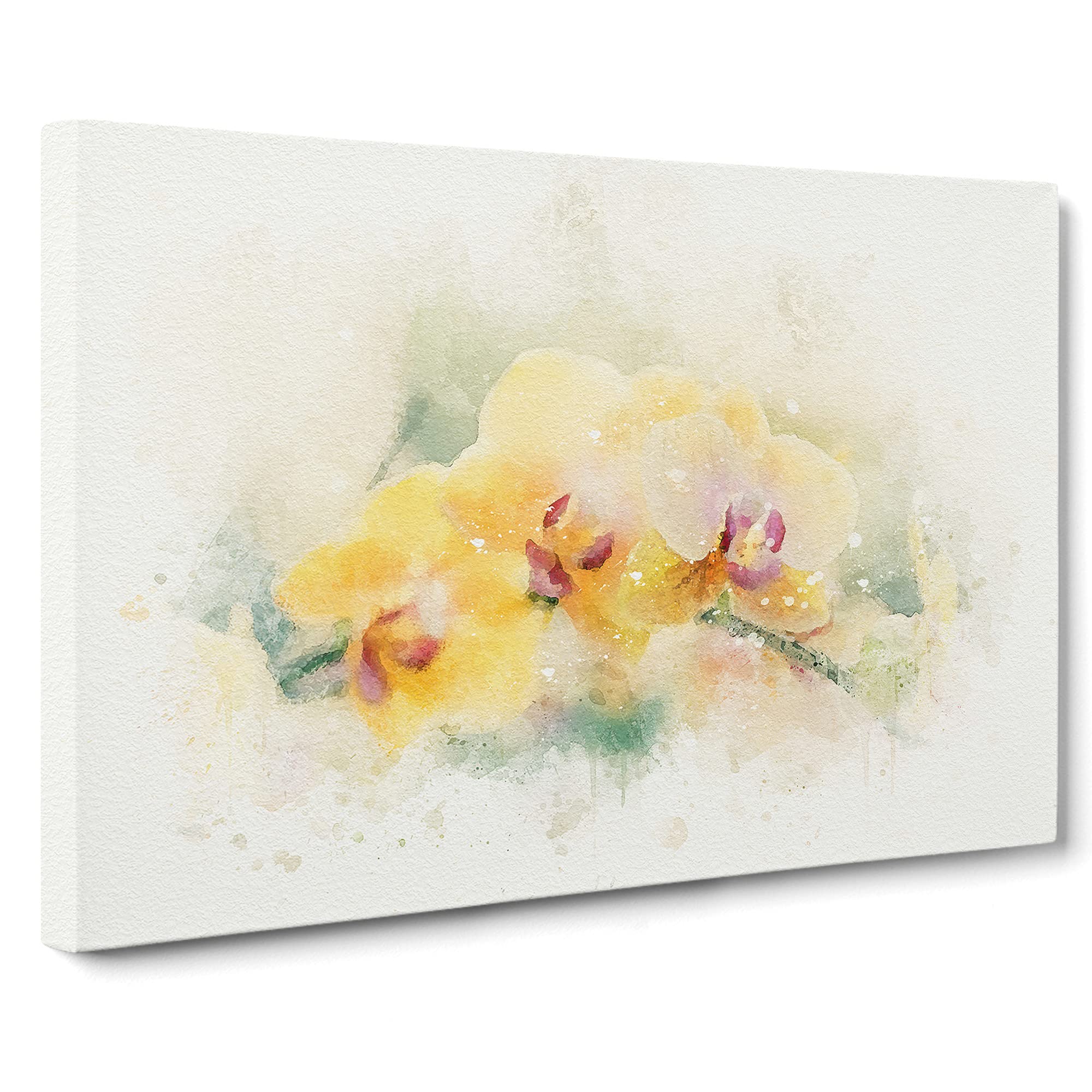 Yellow Orchids Canvas Print, Mixed, 25L x 50W cm