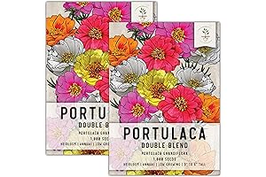 1,000 Portulaca Seeds- Annual Wildflower, Moss Rose, Heirloom Seeds for Planting Portulaca grandiflora