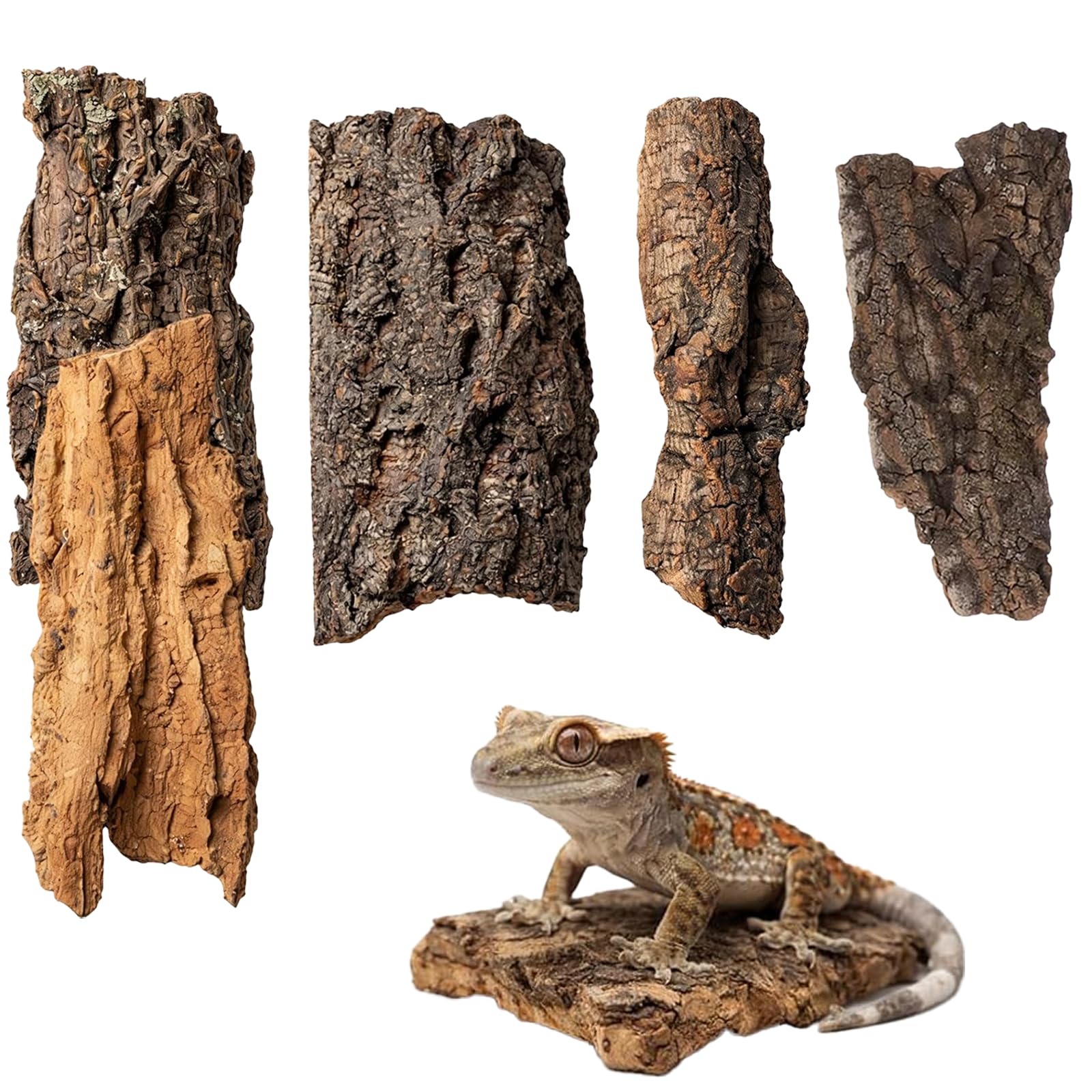 5Pcs Cork Bark Reptile Accessories, Natural Cork Bark for Terrarium Decor, Cork Bark Pieces