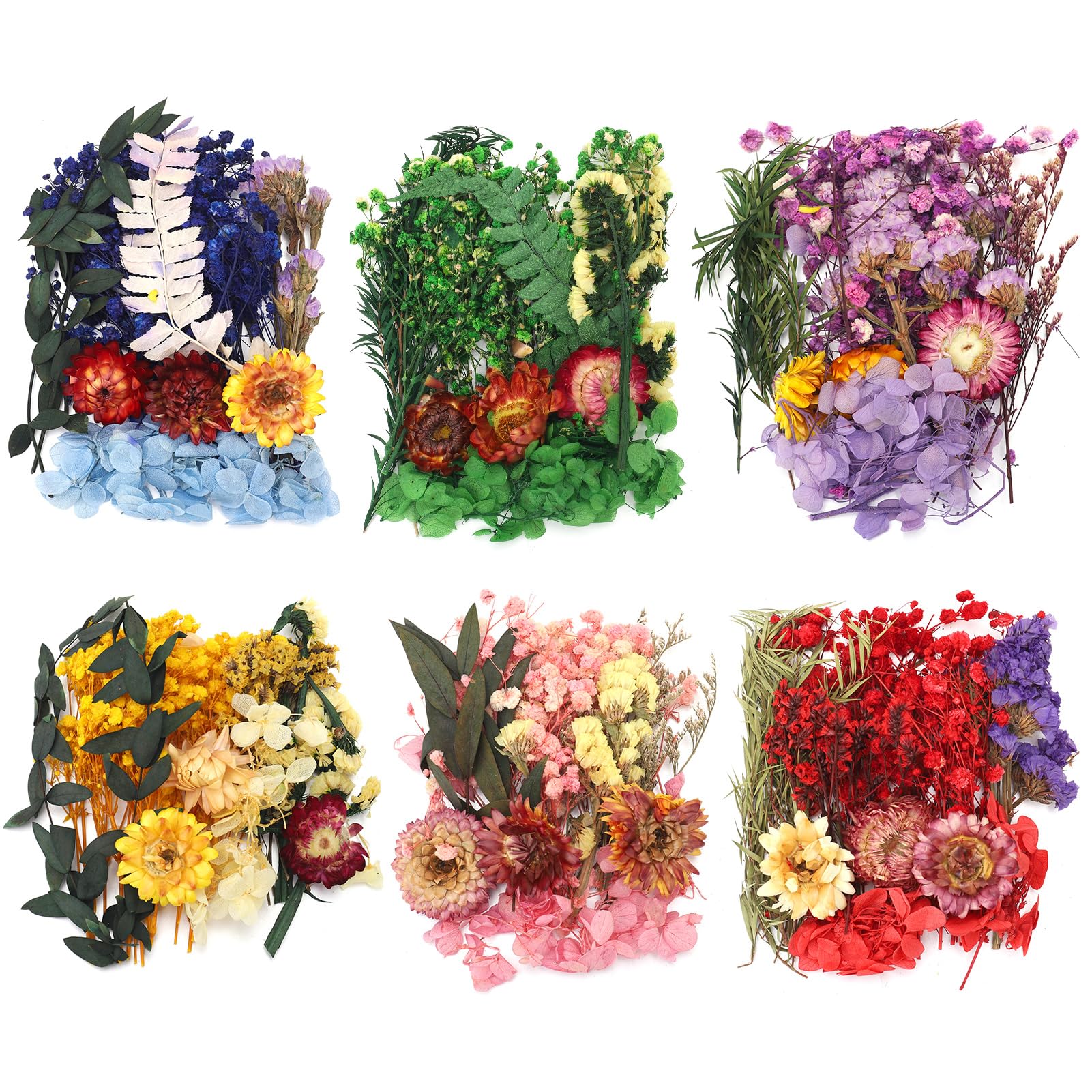 saerryor 6 Packs Mini Real Natural Dried Flowers for Crafts