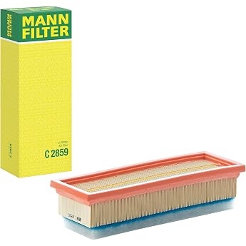 Original MANN-FILTER Air Filter C 2859 &ndash; For Passenger Cars | For cars, clean air supply, durable filter medium, perfect fit 