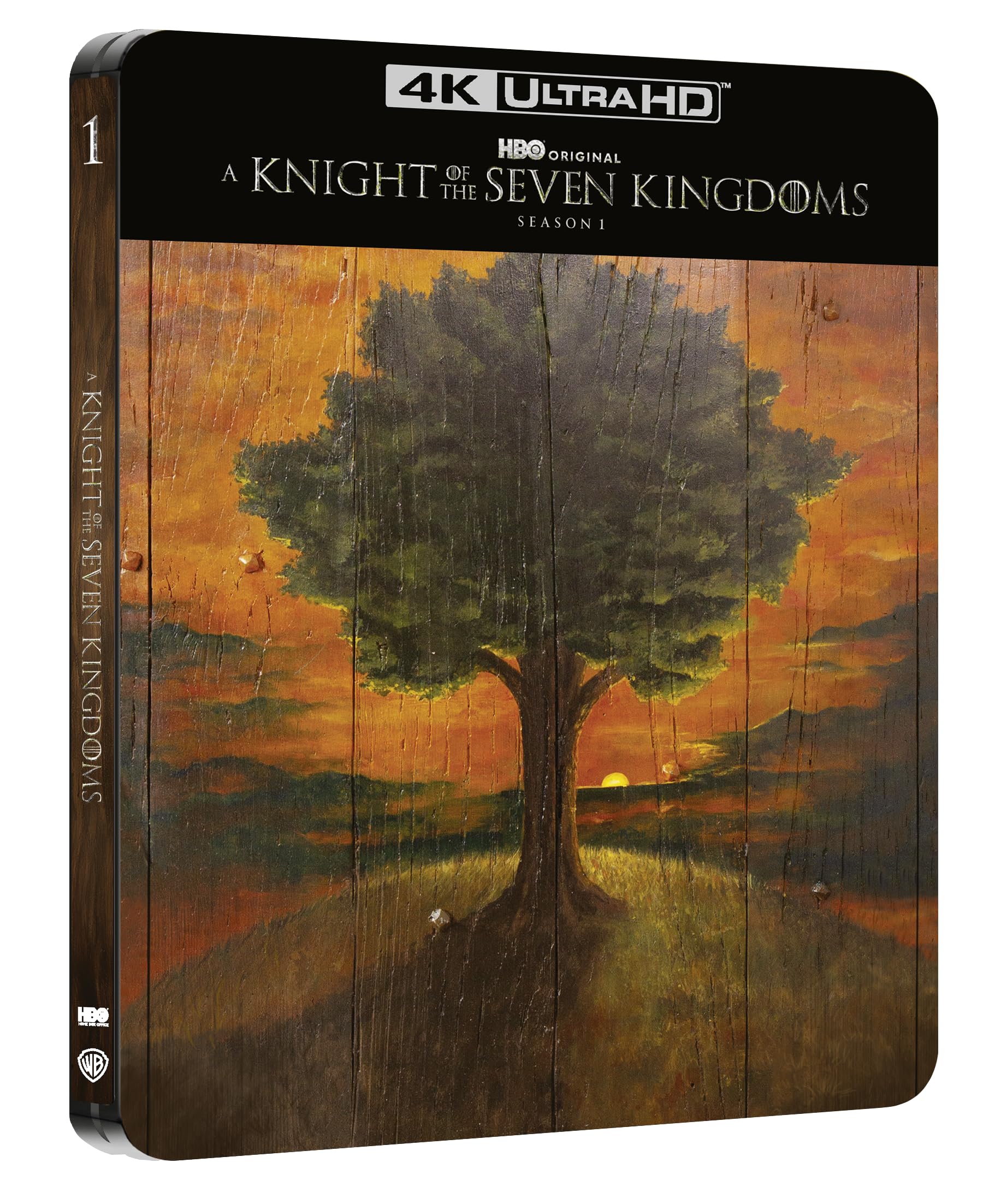 A Knight of the Seven Kingdoms - Saison 1