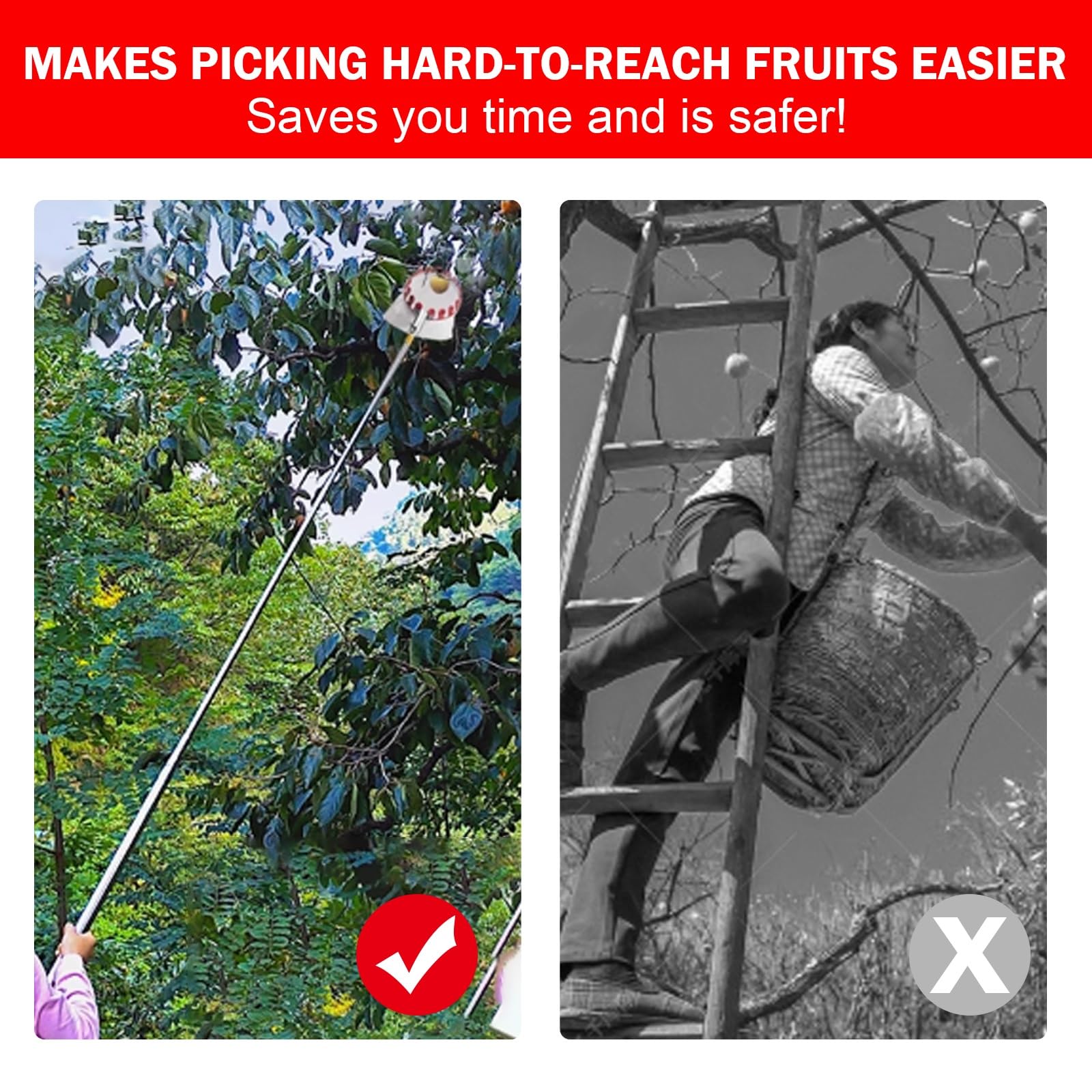 raccoglifrutta, Asta for la Raccolta della Frutta con Asta Regolabile, raccoglitrice di agrumi in Acciaio Inossidabile for pere, Limoni, Arance, Albicocche(2.1m)