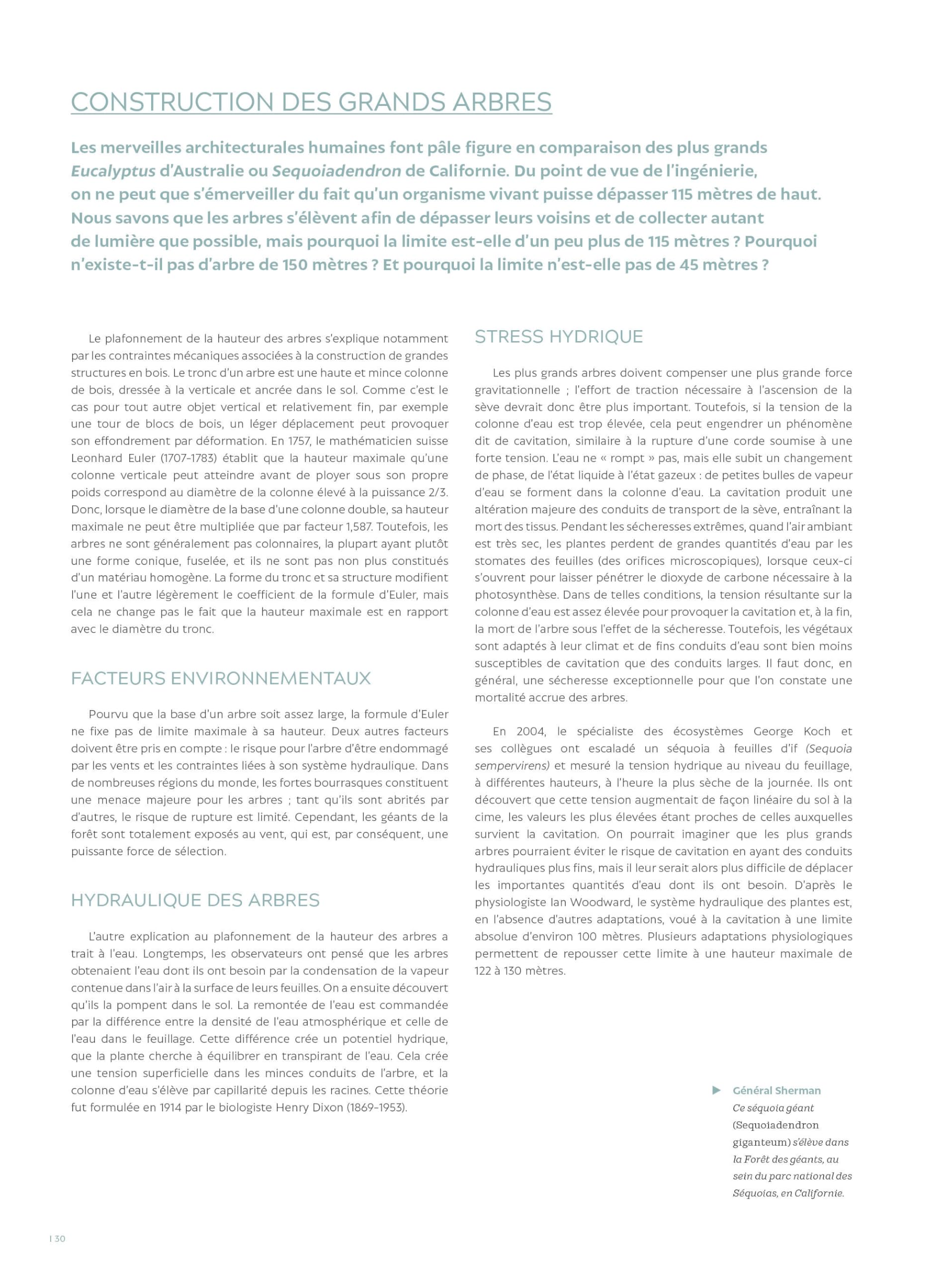 Le Grand guide des arbres et forêts