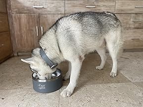 Best Dog Bowls for Large Dogs Stainless Steel Top Picks 7 81NnMvyk1TL. AC SL289