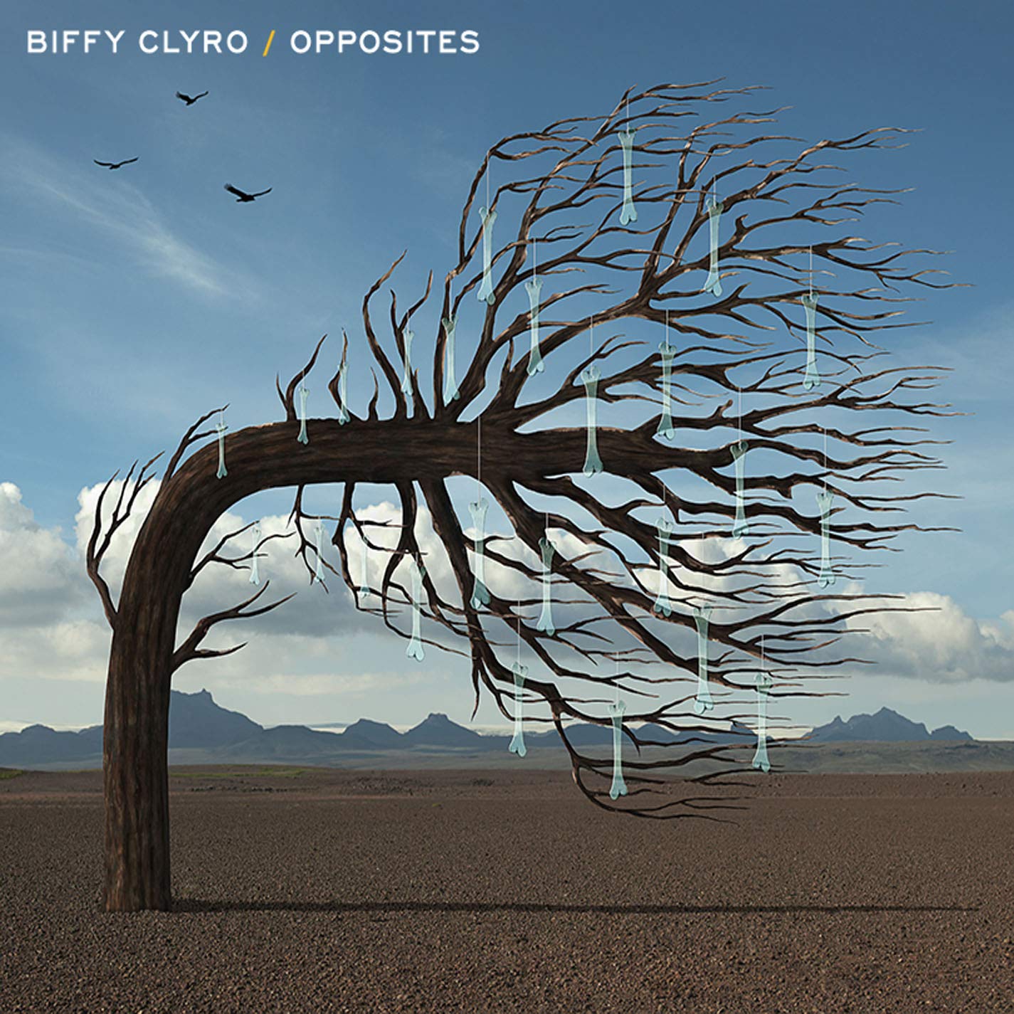 Opposites [Audio CD] Biffy Clyro and David Campbell