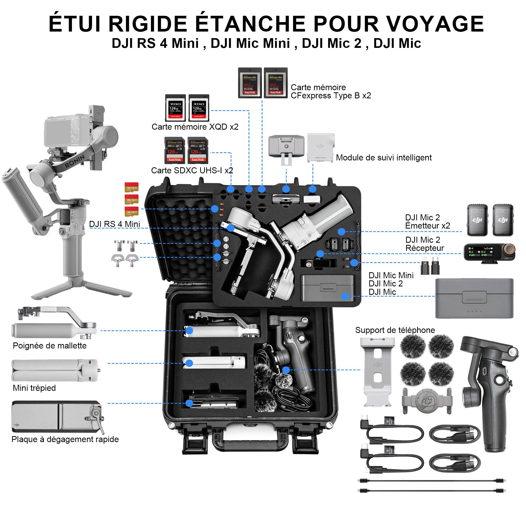 LEKUFEE Étui de Transport Étanche et Rigide pour DJI RS 4 Mini, Combo, Stabilisateur Gimbal,DJI Mic 3/2 /Mic Mini et Plus d'accessoires (Seulement l'étui)